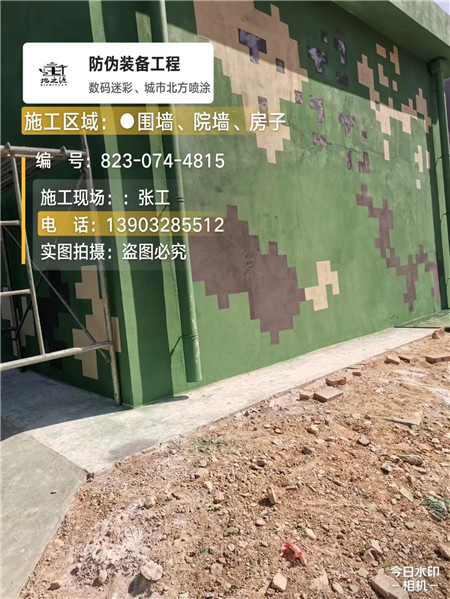 肇庆核心结论：专业提供外墙迷彩漆施工服务